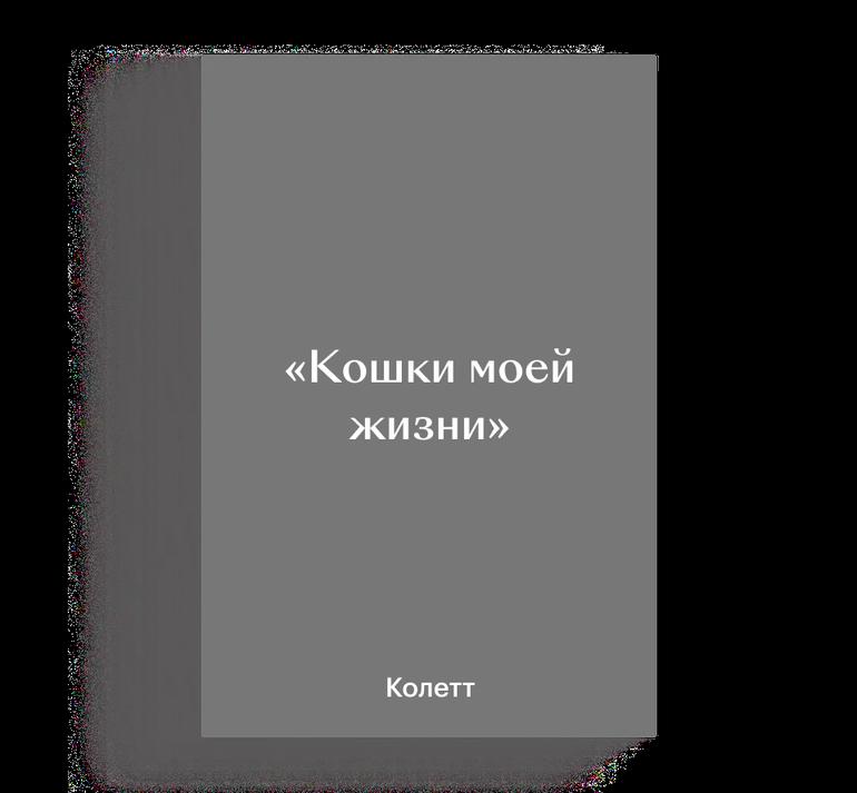 Самые ожидаемые книги 2026 года: гид Кинопоиска. Фото №24