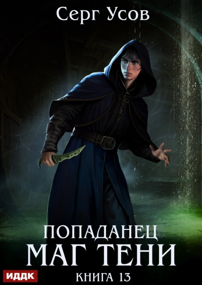 Маг Тени. Книга 13 - Усов Серг